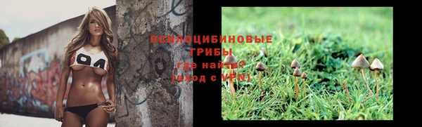 шишки Вязники