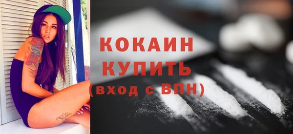 шишки Вязники