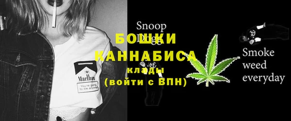 дмт Горно-Алтайск