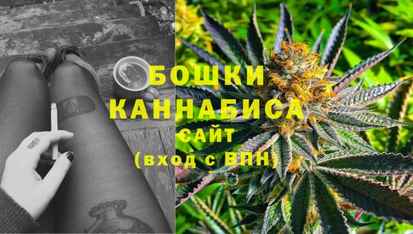винт Гусиноозёрск