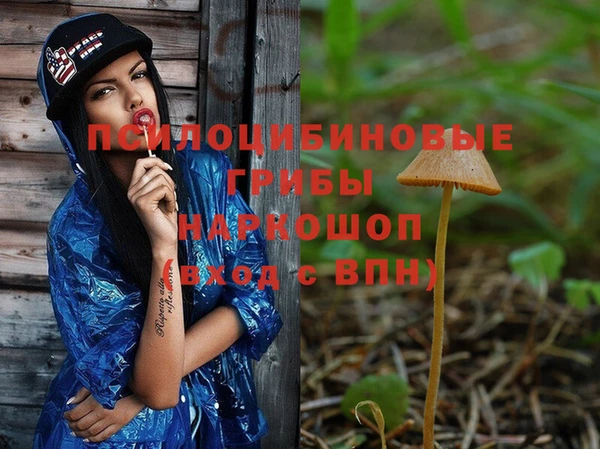 дмт Горно-Алтайск